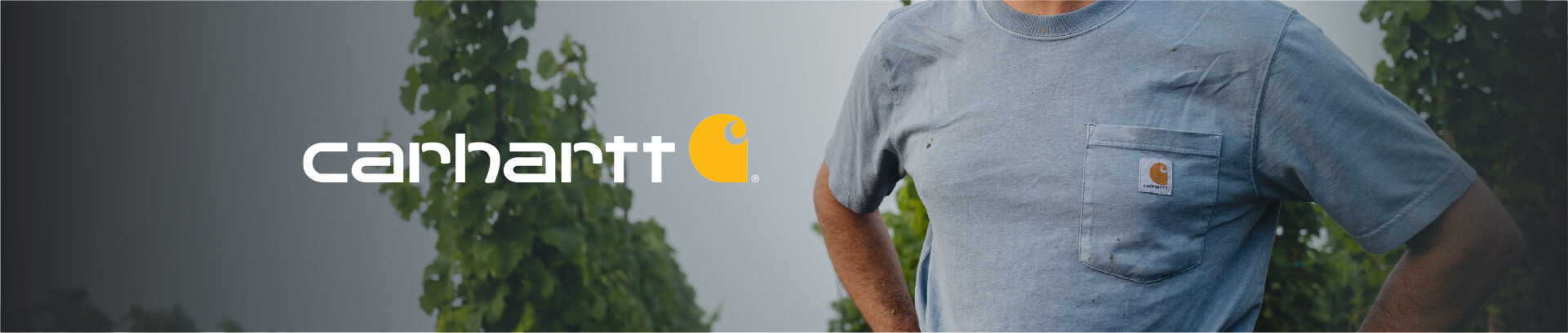 Carhartt short sleeve t-shirts