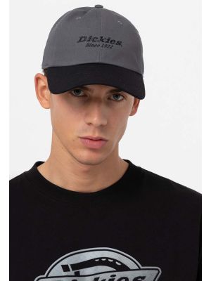 Dickies Everyday Twill Cap